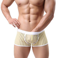 Striped See Through Underwear Boxers Transparent Boxer Shorts Lingeries BK L