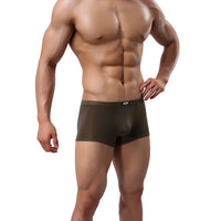 Sexy Man Underwear Boxer Briefs Underpants AG L