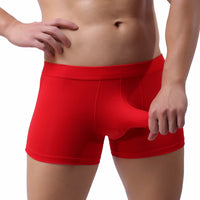 Trunks Sexy Underwear Men's Boxer Briefs Shorts Bulge Pouch Underpants